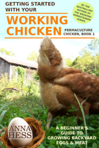 Getting Started With Your Working Chicken
