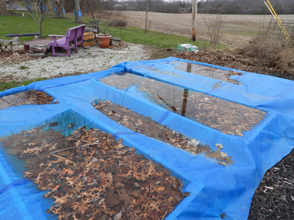 Using a solar pool cover on a garden