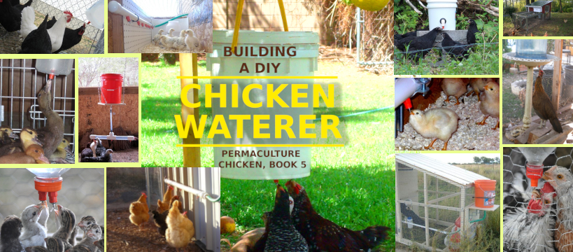 DIY chicken waterers