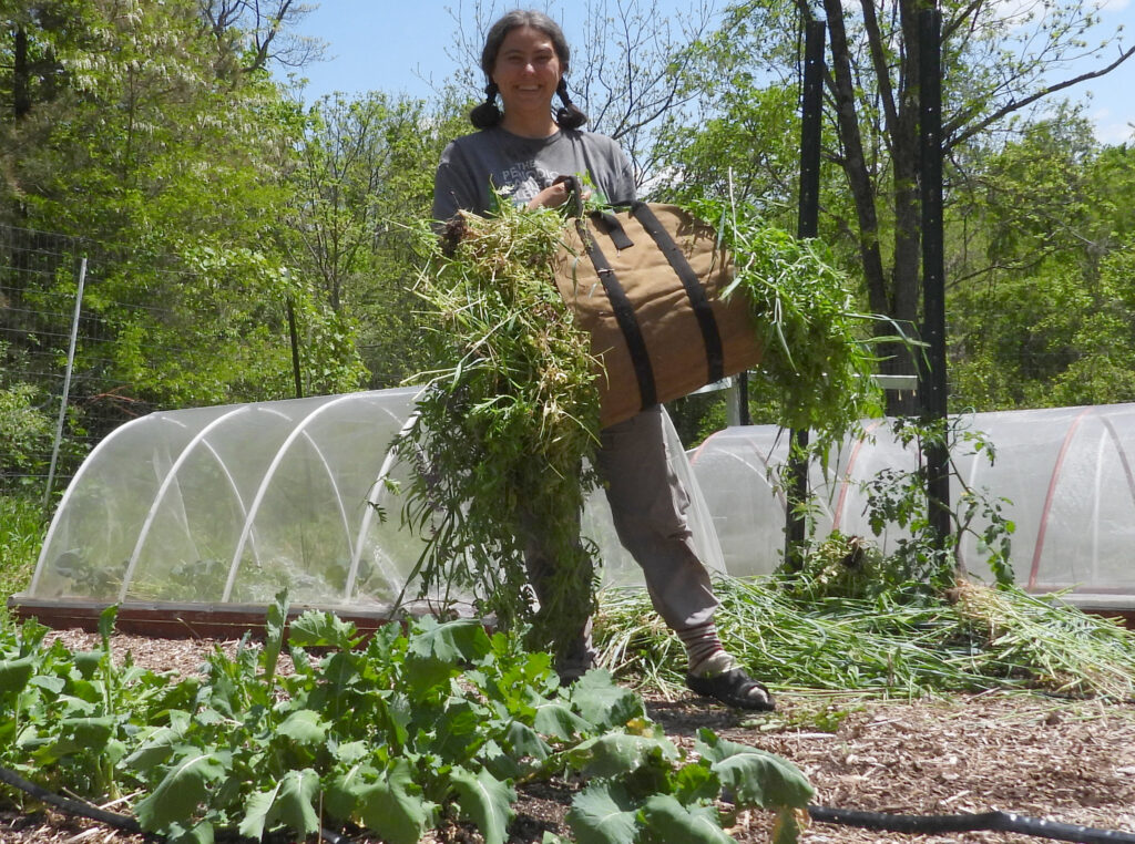 Homegrown garden mulch carrier