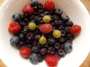 Bowl of berries