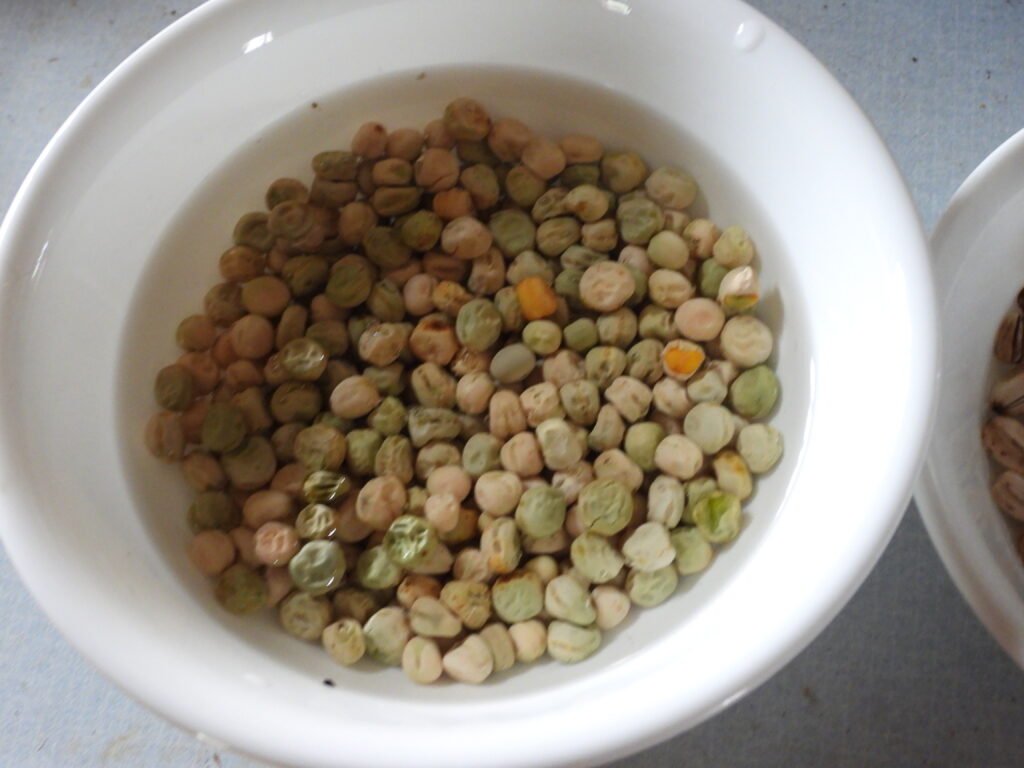 Soaking pea seeds