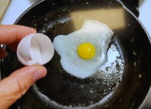 Cooking a pigeon egg