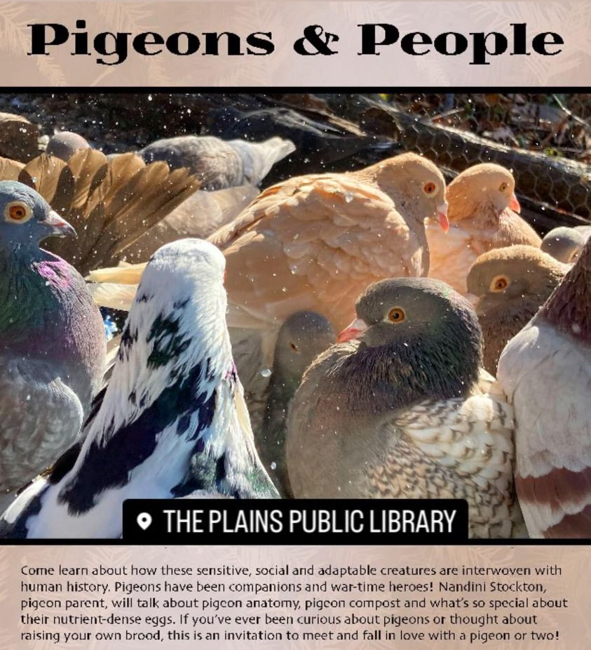 Pigeon program