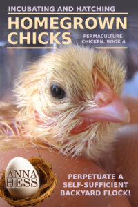 Incubating and Hatching Homegrown Chicks