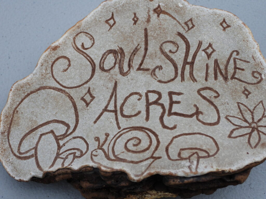 Soulshine Acres mushrooms
