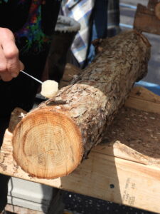 Waxing a mushroom log