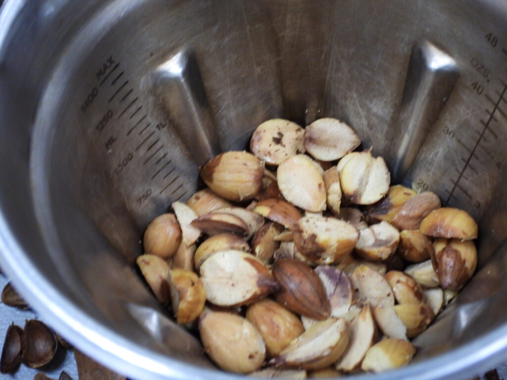 Acorn halves in a blender