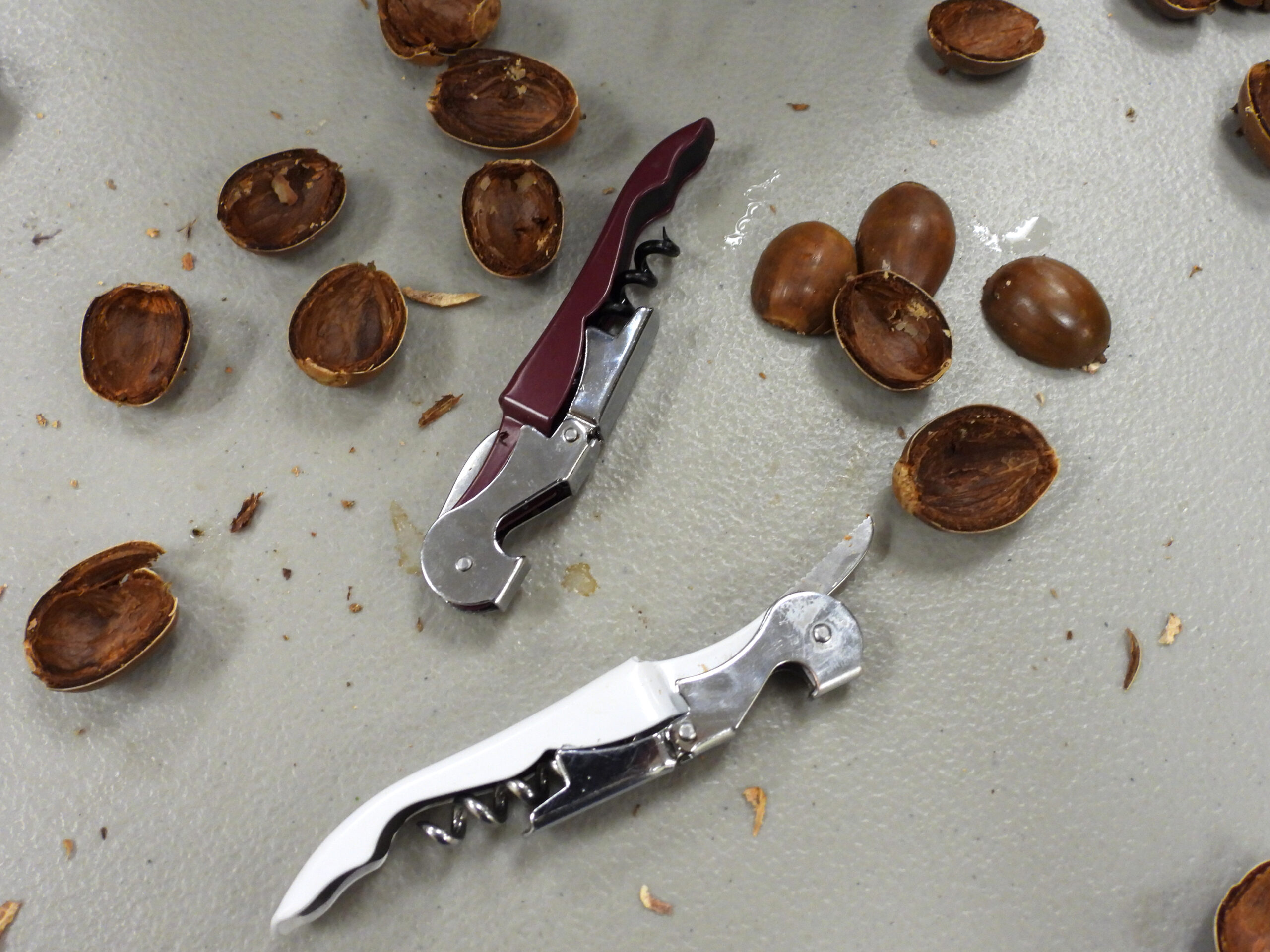 Tools for picking out acorn nuts.